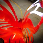 Sanchez Butterfly 2.jpg